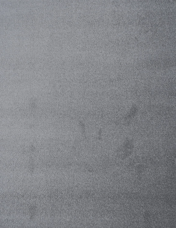 Wykładzina Dywanowa Dynasty 79 Szary 140687 7.jpg