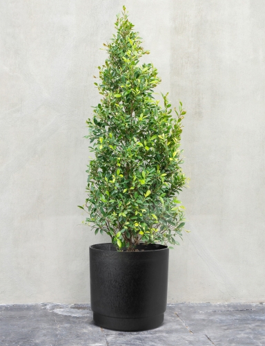 Efloor Donica Czarny Alto 38Øx38wys.