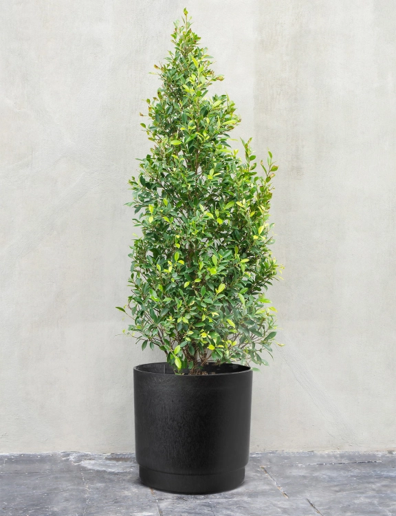 Efloor Donica Czarny Alto 38Øx38wys.