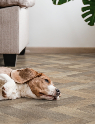 Wykładzina PCV 4m Ultimate Wood Sintra 532 Jodełka Beżowy