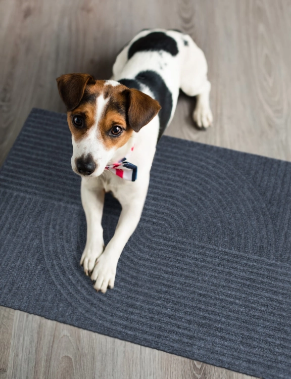 Efloor Wycieraczka Tire 60x90cm Geometryczny Szary