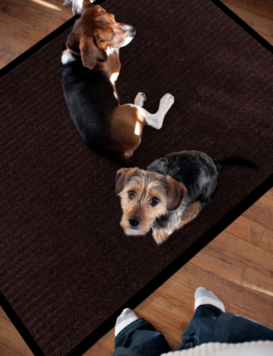 Efloor Wycieraczka Malaga 80x120cm Brązowy