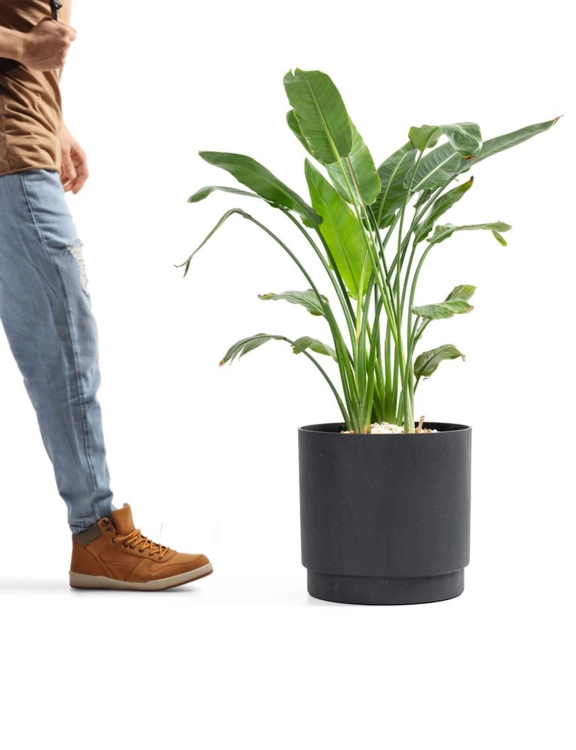 efloor_0001_Linia 2 kopia 2.jpg