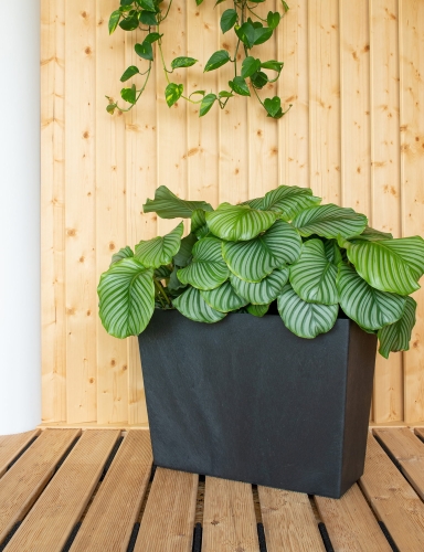 E-FLOOR Donica Czarny Sonata Trough 71dł.x33szer.x50wys.