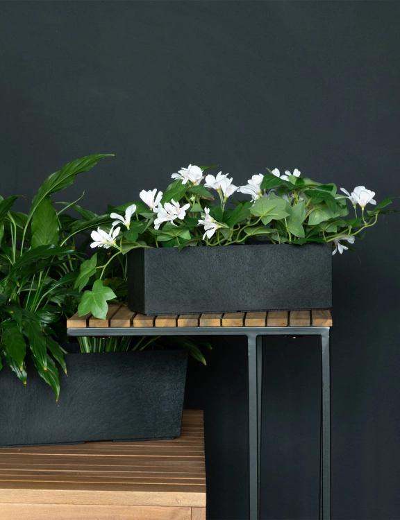 efloor_Donica Czarny Sonata Tabletop 30dł.x10szer.x10wys.