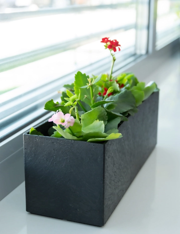 efloor_Donica Czarny Sonata Tabletop 30dł.x10szer.x10wys.