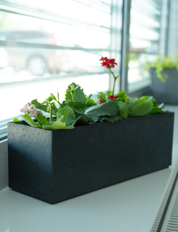 efloor_Donica Czarny Sonata Tabletop 30dł.x10szer.x10wys.