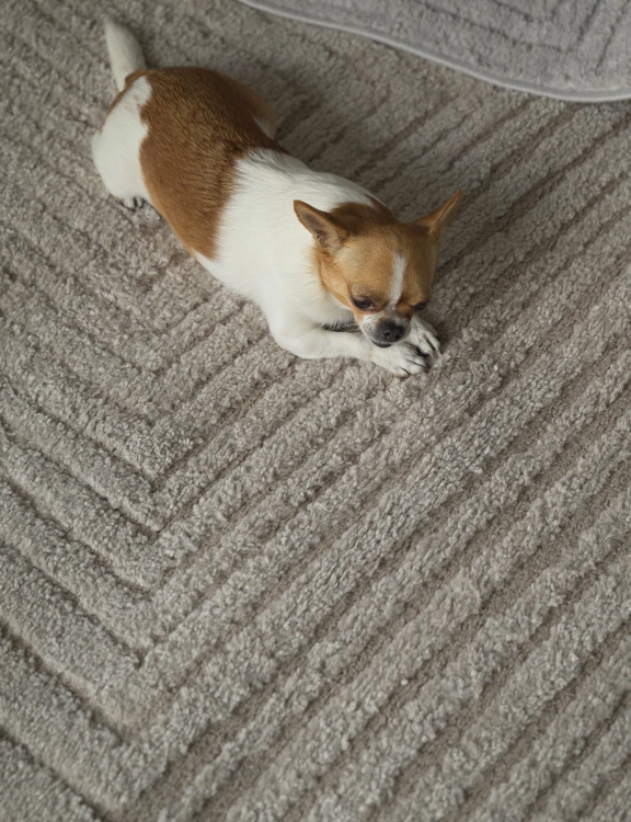 Efloor Dywan Boho Avalon 120x170cm Beżowy