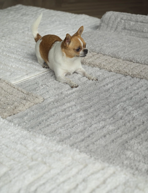 Efloor Dywan Boho Avalon 80x150cm Szary