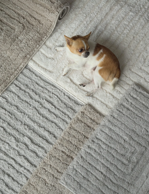 Efloor Dywan Boho Avalon 120x170cm Szary