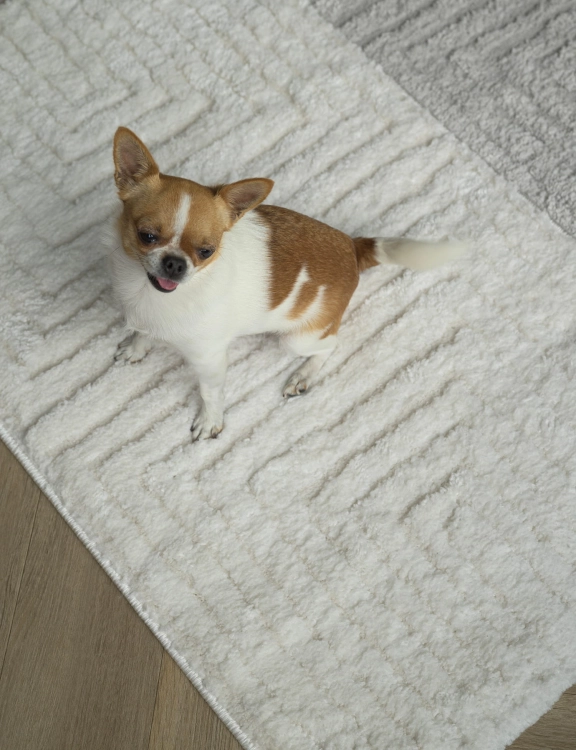 Efloor Dywan Boho Avalon 60x100cm Kremowy