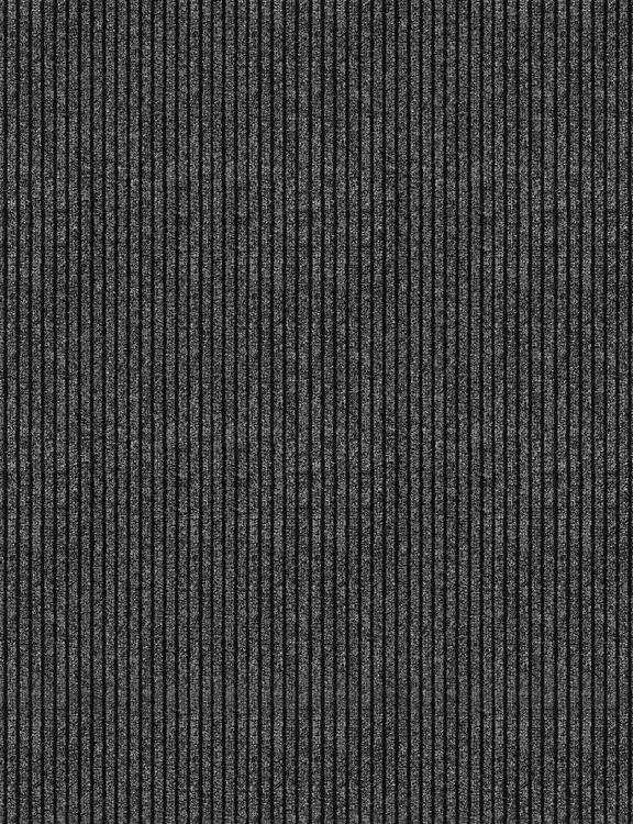 efloor Wycieraczka Chodnik Granada szer. 80cm