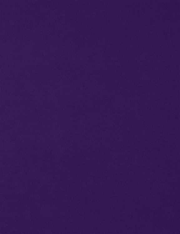 Efloor Wykładzina Targowa Eventowa 2m Rib 503 Fioletowy