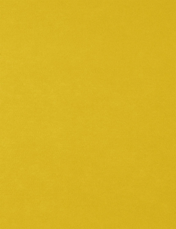 Efloor Wykładzina Targowa Eventowa 2m Rib 400 Żółty