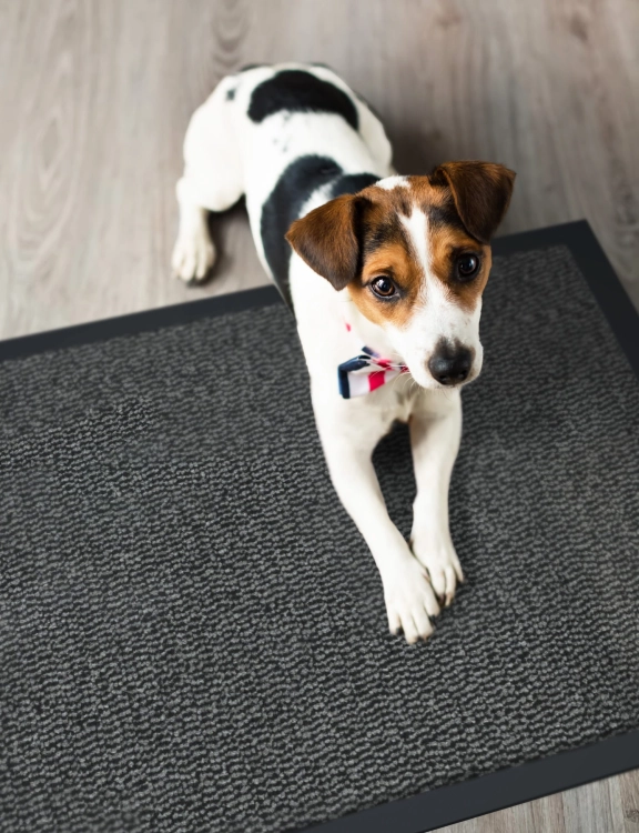 Efloor Wycieraczka pod drzwi Bruno 40x60cm Szary