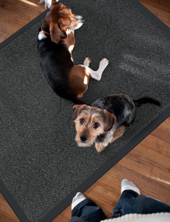 Efloor Duża wycieraczka pod drzwi Bruno 80x120cm Szary