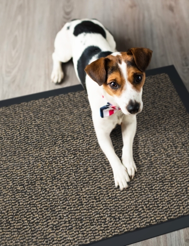 Efloor Wycieraczka pod drzwi Bruno 40x60cm Brazowy