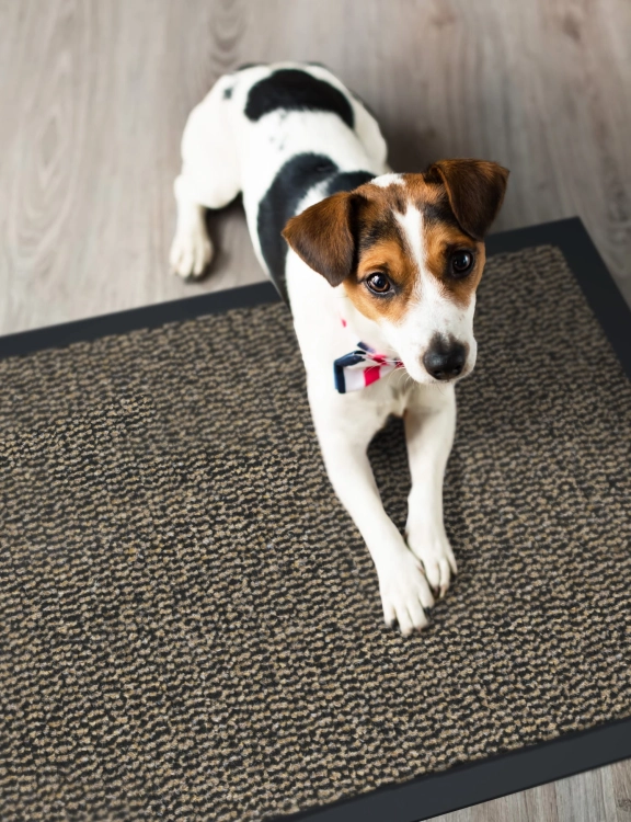 Efloor Wycieraczka pod drzwi Bruno 40x60cm Brazowy