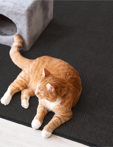 Efloor Mata Sizalowa Drapak dla kota 50x50cm Czarny