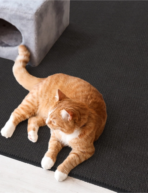 Efloor Mata Sizalowa Drapak dla kota 50x50cm Czarny