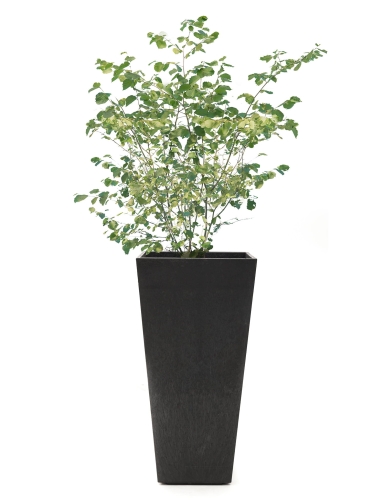 efloor_Donica Czarny Sonata 36dł.x36szer.x70wys.