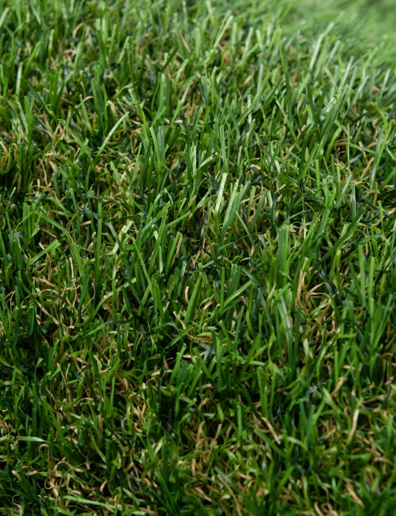 E-FLOOR Multigrass Sztuczna Trawa 2m Brava 47mm