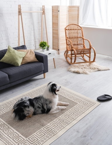 efloor Dywan płasko tkany Express 120x160cm Grecki Beżowy