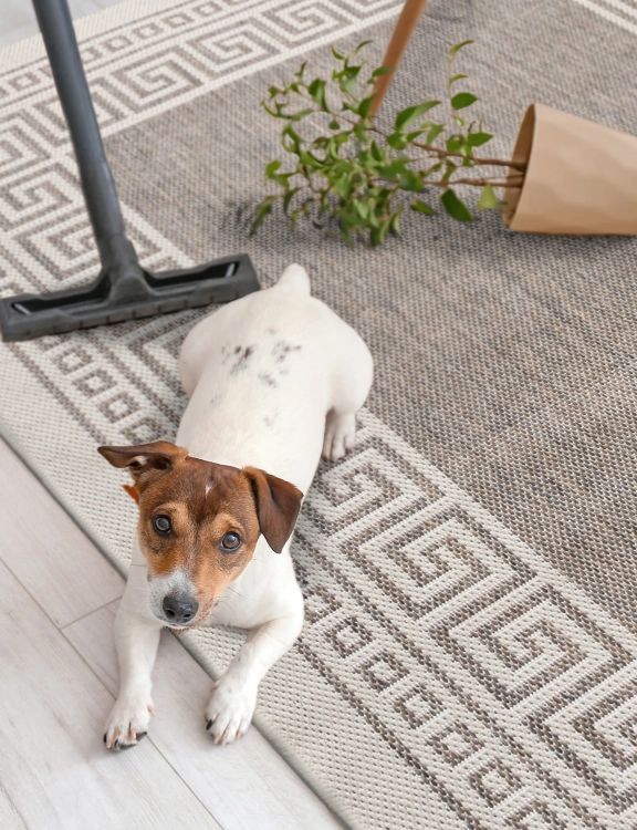 efloor Dywan płasko tkany Express 120x160cm Grecki Beżowy