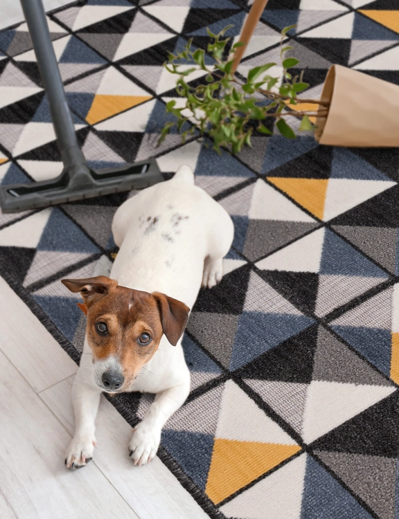 efloor_dywan_plasko_tkany_shift_120x160cm_geometryczny_wielokolorowy