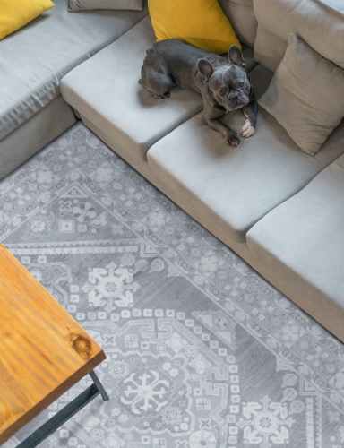 efloor_dywan_klasyczny_sereno_200x300cm_velvet-szary