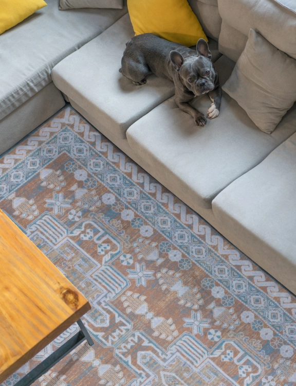 efloor_dywan_klasyczny_sereno_200x300cm_velvet_bezowy