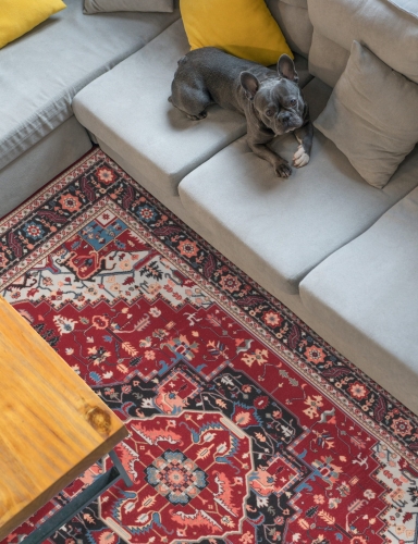 efloor_dywan_klasyczny_sereno_200x300cm_velvet_czerwony