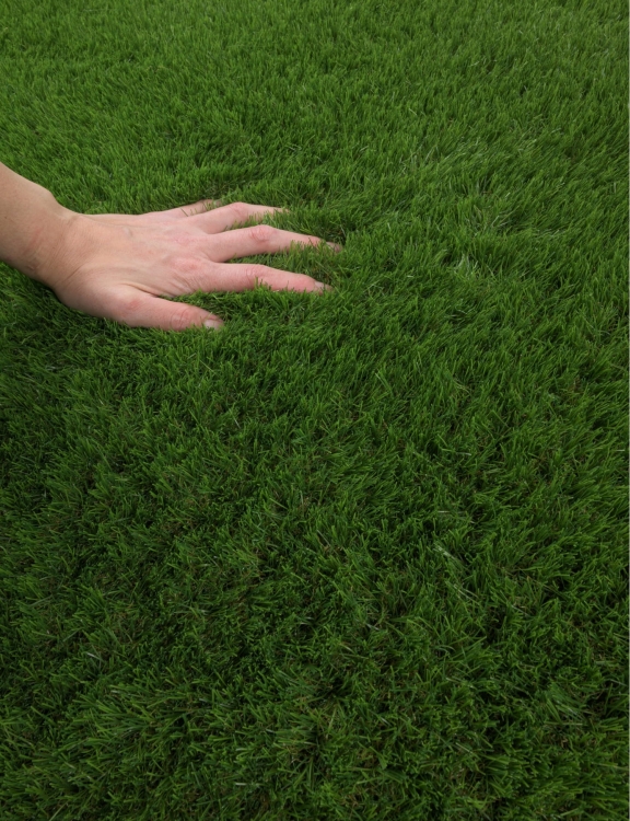 efloor_sztuczna_trawa_4m_merida_40mm