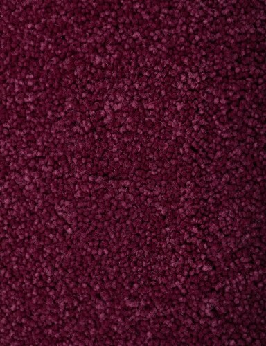 865.jpg