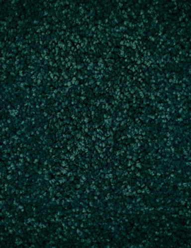 868.jpg