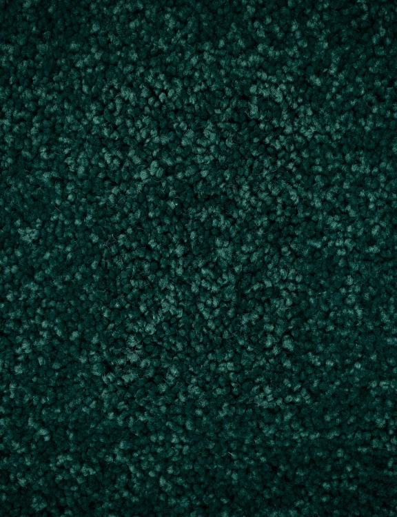 868.jpg