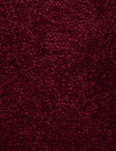 864.jpg