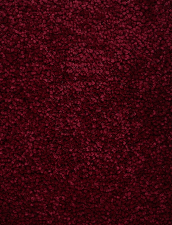 864.jpg