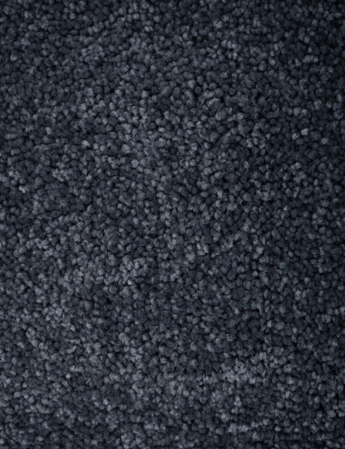 875.jpg