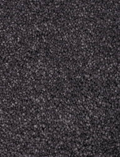 876.jpg