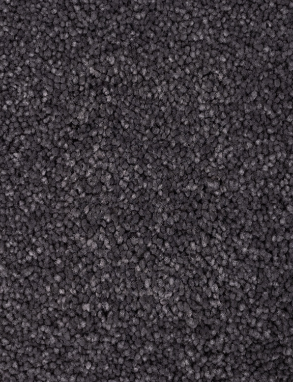 876.jpg