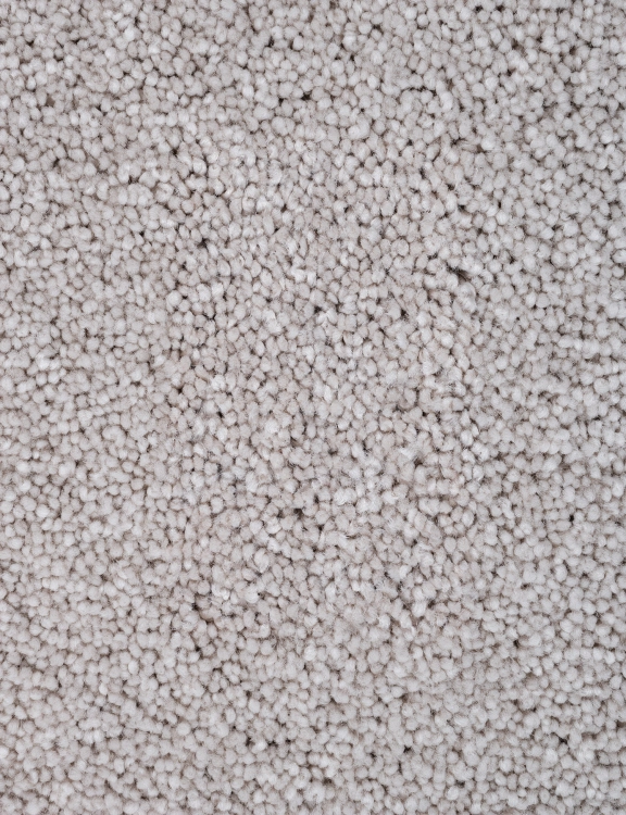 870.jpg