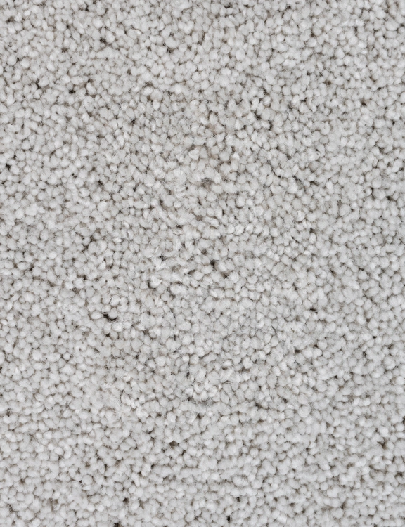 869.jpg
