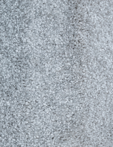 6501.jpg