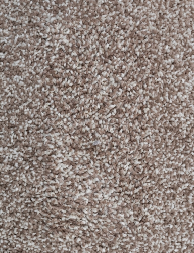 6511.jpg