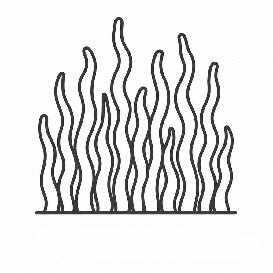 Cut Pile - Shaggy